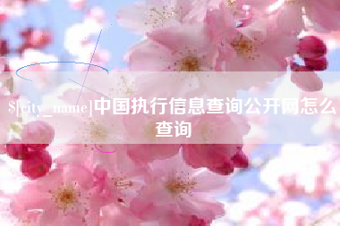 南阳中国执行信息查询公开网怎么查询