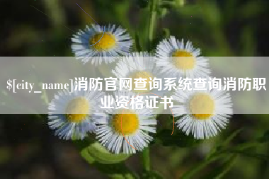 南阳消防官网查询系统查询消防职业资格证书