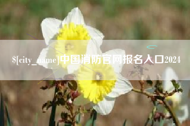南阳中国消防官网报名入口2024