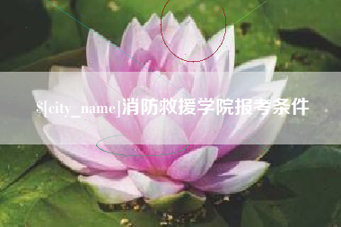 南阳消防救援学院报考条件