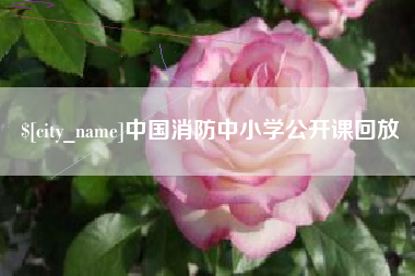 南阳中国消防中小学公开课回放