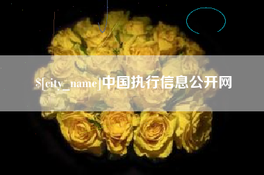 南阳中国执行信息公开网