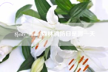 南阳森林消防日是哪一天