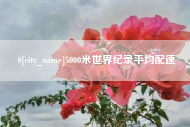 南阳5000米世界纪录平均配速