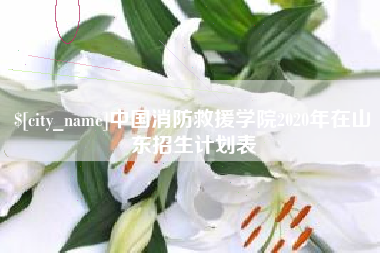南阳中国消防救援学院2020年在山东招生计划表