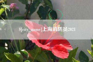南阳上海消防员2021