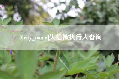 南阳失信被执行人杳询