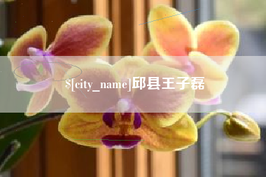 南阳邱县王子磊