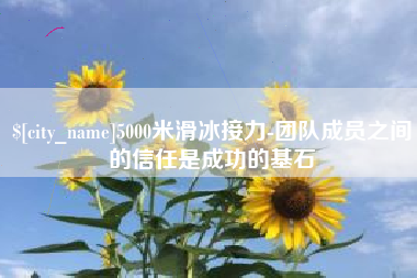 南阳5000米滑冰接力-团队成员之间的信任是成功的基石