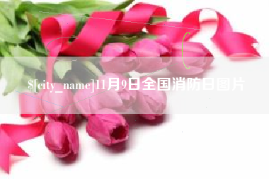 南阳11月9日全国消防日图片