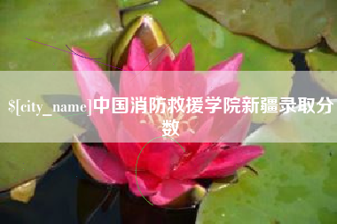 南阳中国消防救援学院新疆录取分数