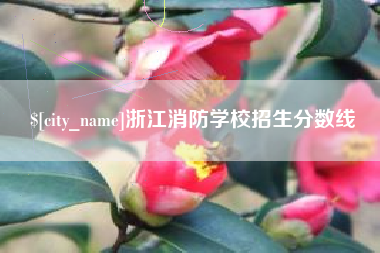 南阳浙江消防学校招生分数线