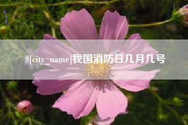 南阳我国消防日几月几号