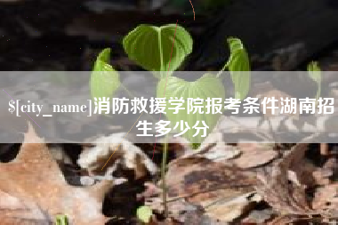 南阳消防救援学院报考条件湖南招生多少分