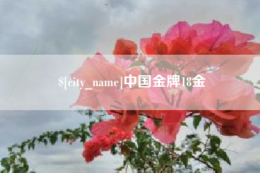 南阳中国金牌18金