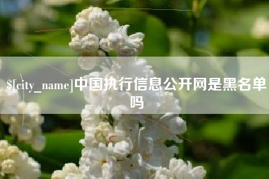 南阳中国执行信息公开网是黑名单吗