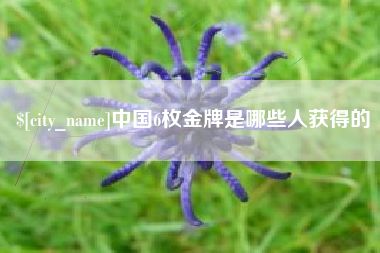 南阳中国6枚金牌是哪些人获得的