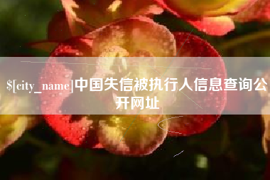 南阳中国失信被执行人信息查询公开网址
