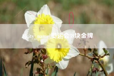 南阳奥运会39块金牌