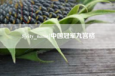 南阳中国冠军九宫格