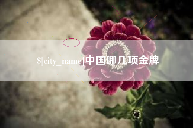南阳中国哪几项金牌