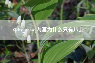 南阳九宫为什么只有八卦