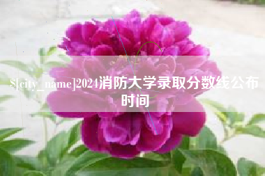 南阳2024消防大学录取分数线公布时间