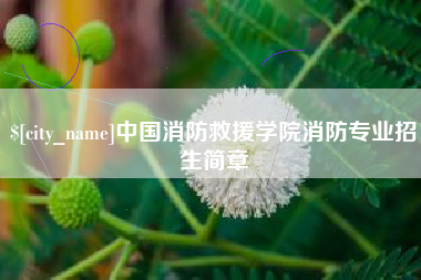 南阳中国消防救援学院消防专业招生简章