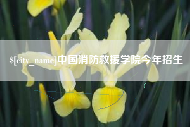 南阳中国消防救援学院今年招生