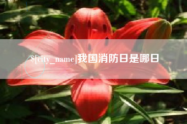 南阳我国消防日是哪日