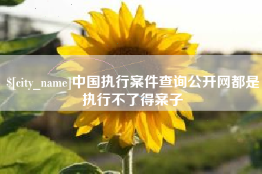 南阳中国执行案件查询公开网都是执行不了得案子