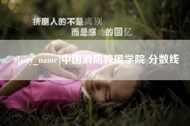 南阳中国消防救援学院 分数线