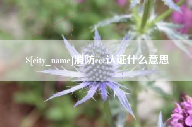 南阳消防ccc认证什么意思