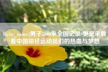 南阳男子5000米全国记录-更是承载着中国田径运动员们的热血与梦想