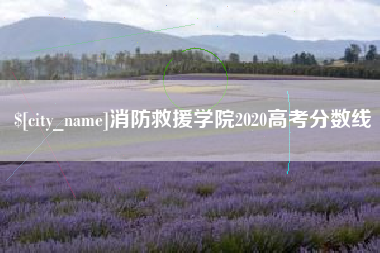 南阳消防救援学院2020高考分数线