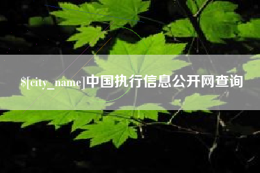 南阳中国执行信息公开网查询
