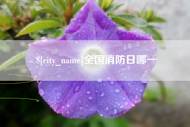 南阳全国消防日哪一