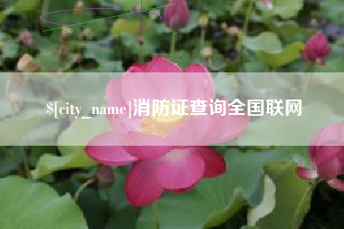 南阳消防证查询全国联网