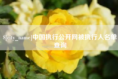 南阳中国执行公开网被执行人名单查询