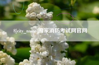 南阳国家消防考试网官网