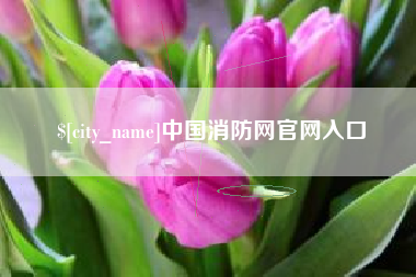 南阳中国消防网官网入口