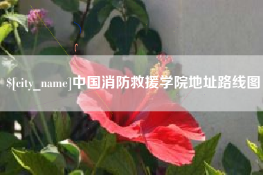 南阳中国消防救援学院地址路线图