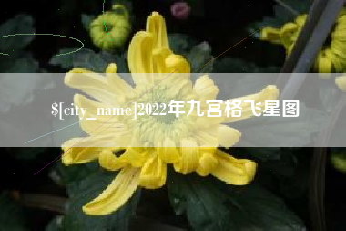 南阳2022年九宫格飞星图