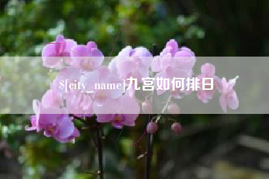 南阳九宫如何排日