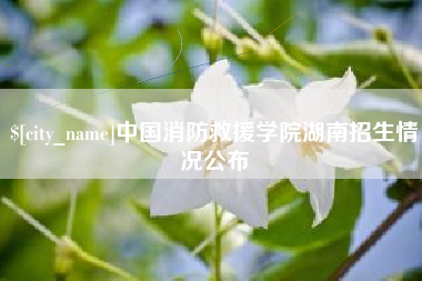 南阳中国消防救援学院湖南招生情况公布