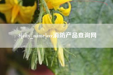 南阳ccc消防产品查询网