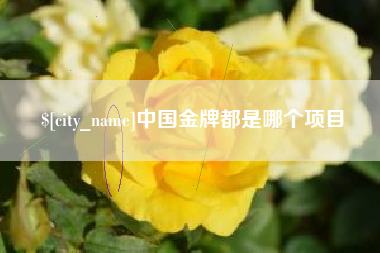 南阳中国金牌都是哪个项目