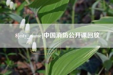 南阳中国消防公开课回放