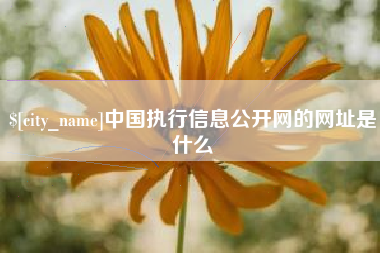 南阳中国执行信息公开网的网址是什么