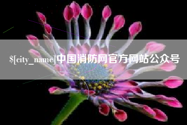 南阳中国消防网官方网站公众号